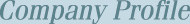 Company Profile